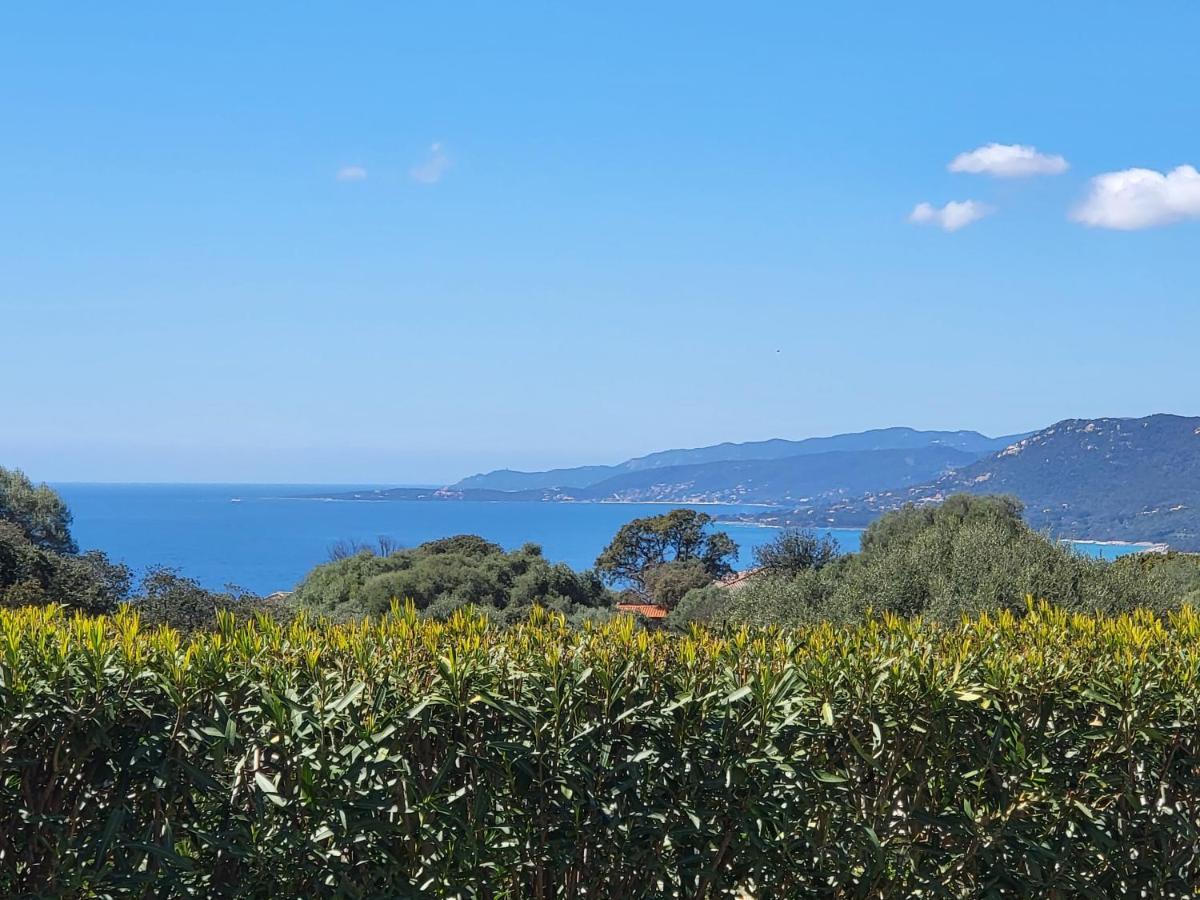 T3 Propriano Vue Mer, Neuf, Climatise Et Classe 4 Etoiles Viggianello Kültér fotó