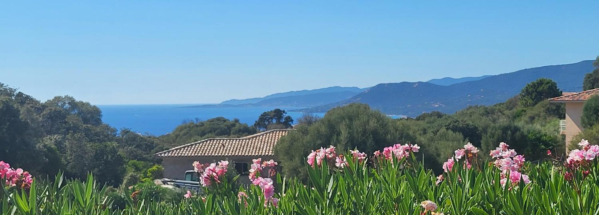 T3 Propriano Vue Mer, Neuf, Climatise Et Classe 4 Etoiles Viggianello Kültér fotó